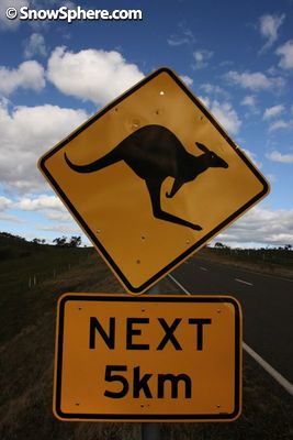 the classic roo road sign